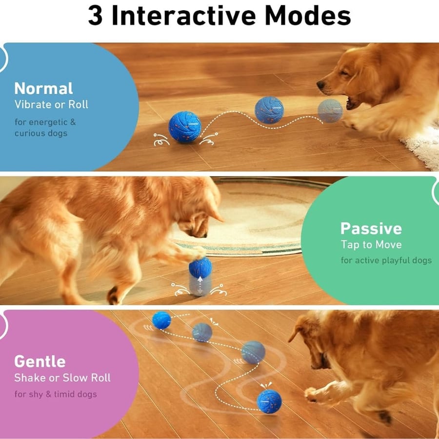 Cheerble Smart Interactive Dog Toy